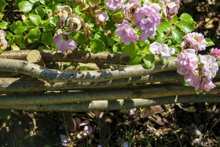 dobar Beeteinfassungen aus Haselnuss